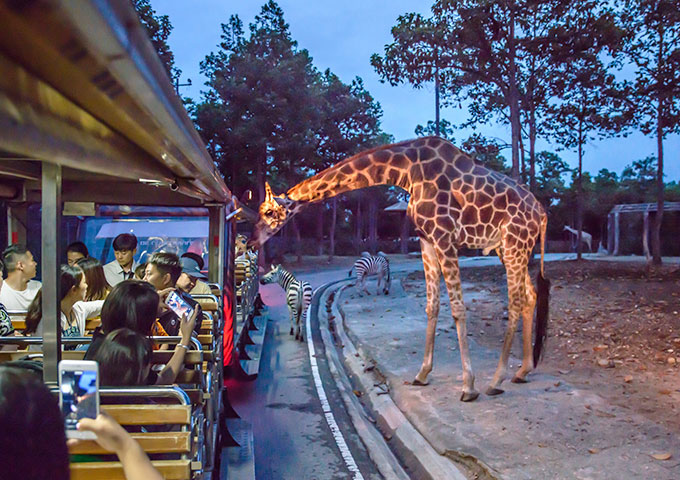 清邁夜間動物(wù)園